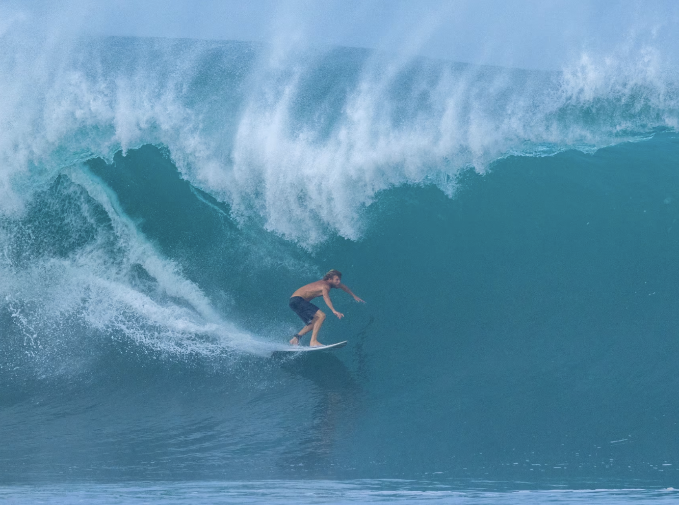 Chasing Ghosts: Harry Bryant on Secret Typhoons and the Art of the “Roasted” Edit